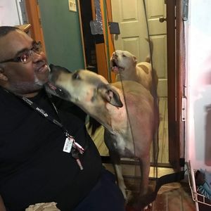 Meet your Posher, Ron